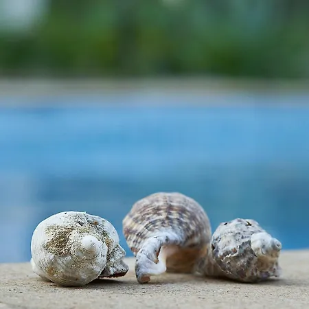 The Cliff Lux Obzor, Burgas, Bulgaria Apartament *