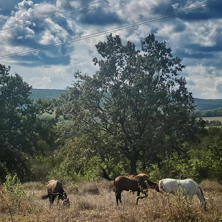 The Cliff Lux Obzor, Burgas, Bulgaria * 奥布佐尔