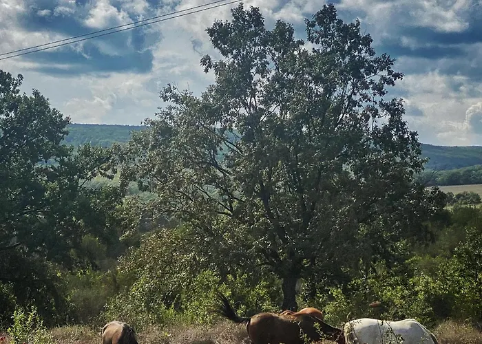 The Cliff Lux Obzor, Burgas, Bulgaria * 奥布佐尔