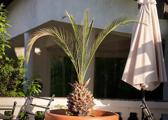 公寓 The Cliff Lux Obzor, Burgas, Bulgaria 奥布佐尔