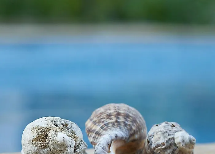 The Cliff Lux Obzor, Burgas, Bulgaria Апартамент *